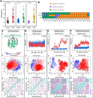 Assessing a computational pipeline to identify binding motifs to the α2β1 integrin